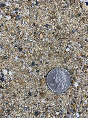 Repurpose C-33 Concrete Sand with quarter shown for scale