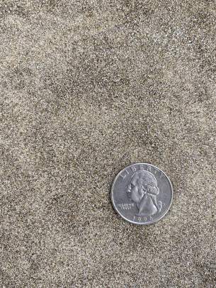 Repurpose Fine Sand with quarter shown for scale